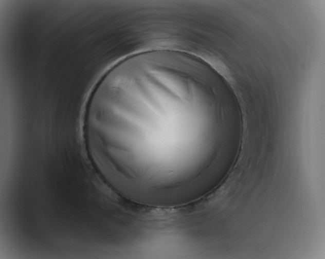 X0000089440912200706291423