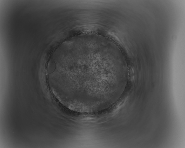 X0000089440913200706291422