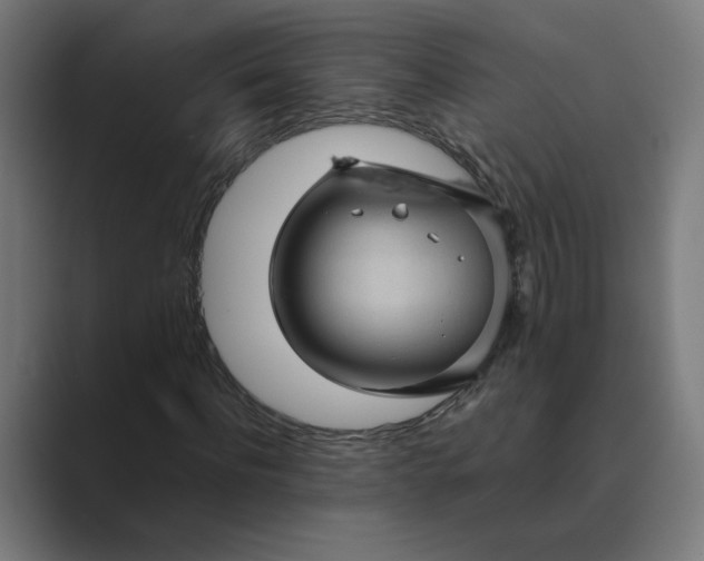 X0000089440916200706291422