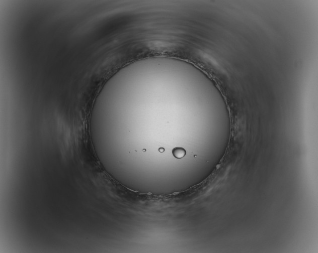 X0000089440917200706291422