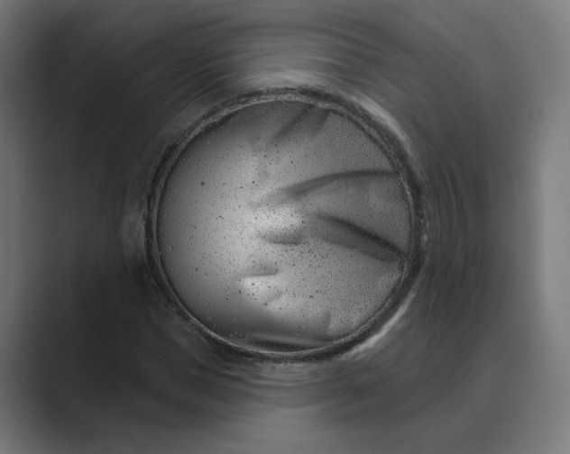 X0000089440921200706291422