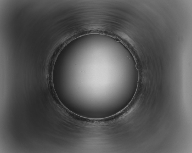 X0000089440922200706291422