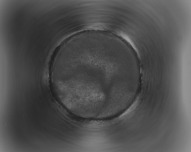 X0000089440923200706291422