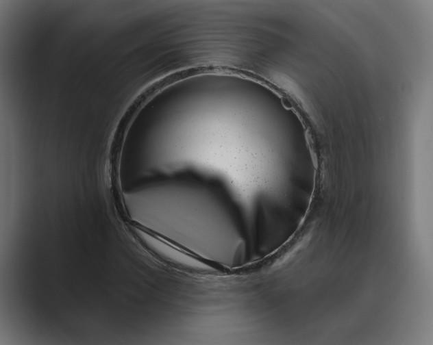 X0000089440924200706291422