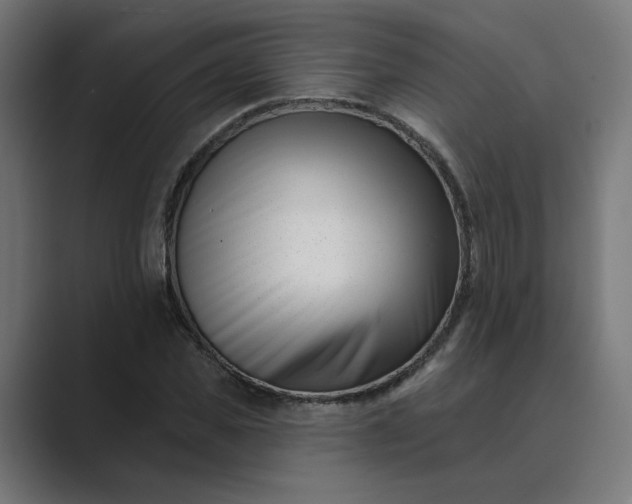 X0000089440925200706291422