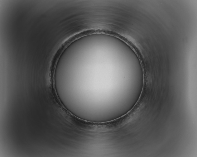 X0000089440927200706291422