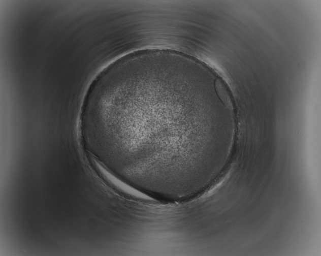 X0000089440928200706291422