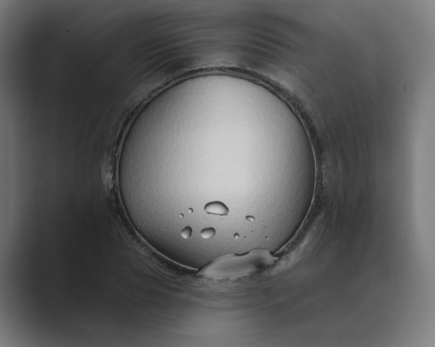 X0000089440929200706291422