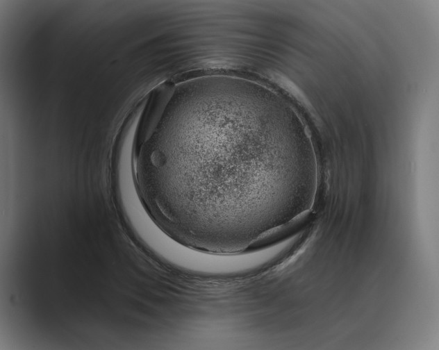 X0000089440930200706291422