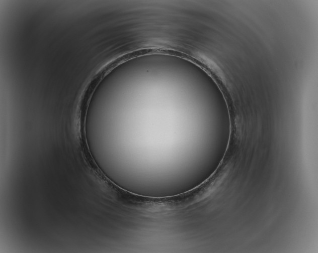 X0000089440931200706291422