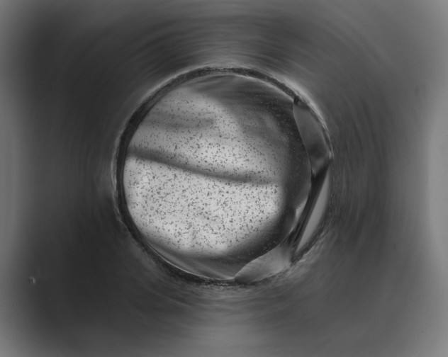 X0000089440935200706291422