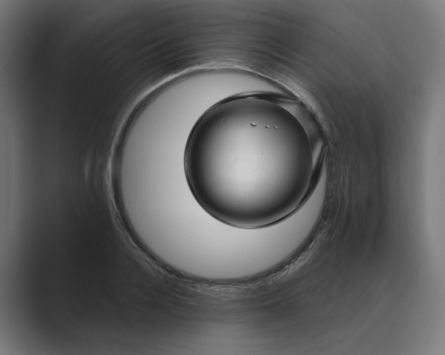 X0000089440936200706291422