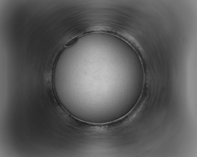 X0000089440937200706291422