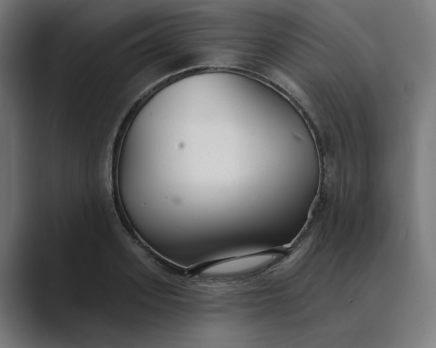 X0000089440939200706291422