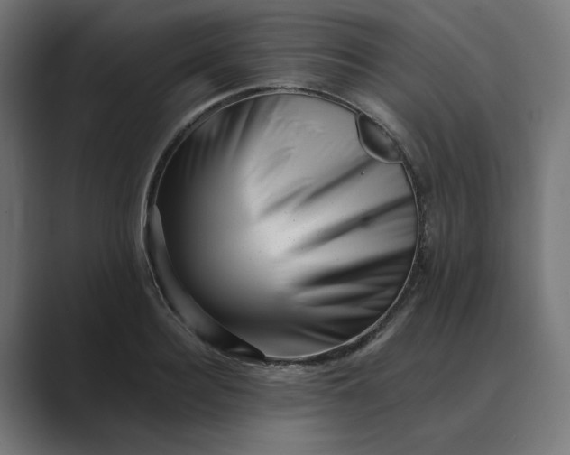 X0000089440940200706291422