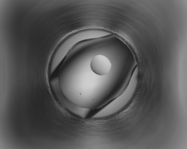 X0000089440942200706291422