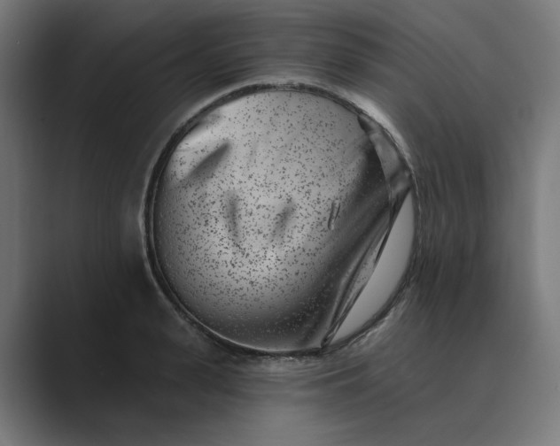 X0000089440943200706291422