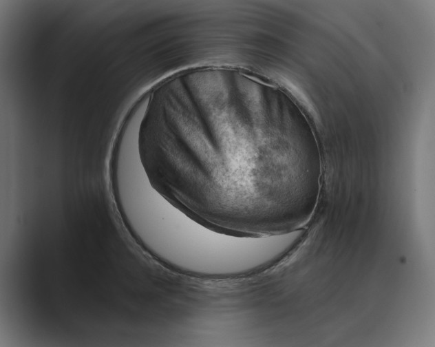 X0000089440944200706291422