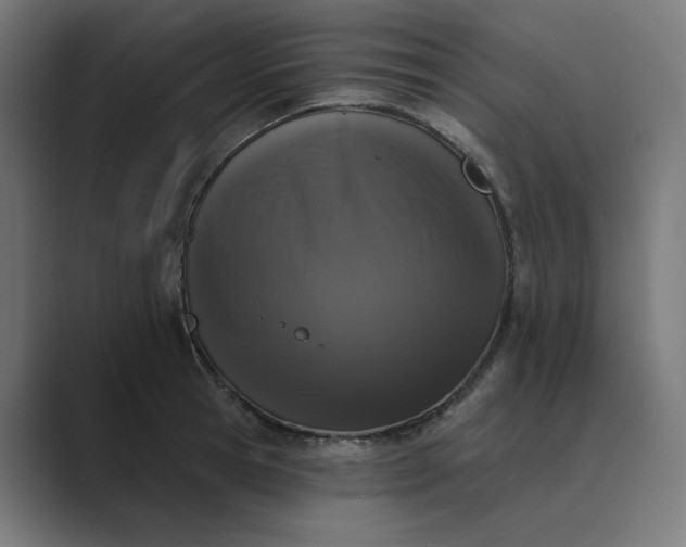 X0000089440945200706291422