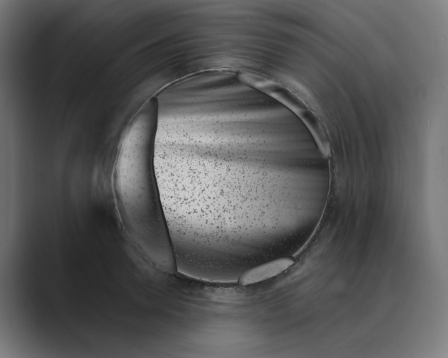 X0000089440946200706291422