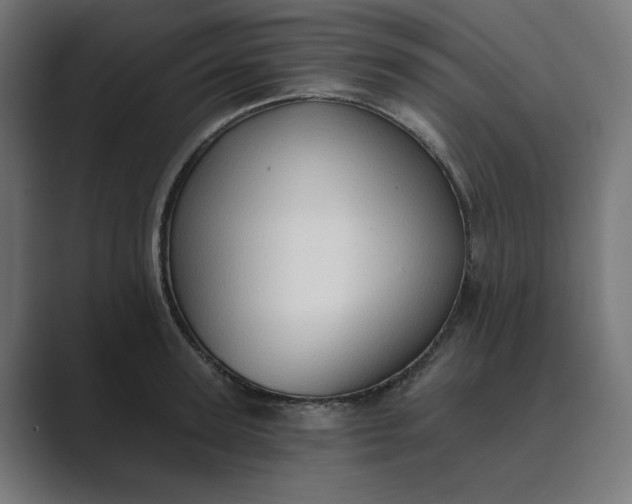 X0000089440947200706291422