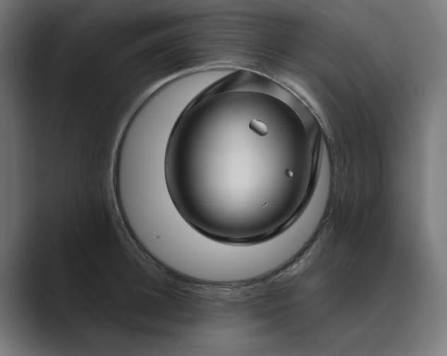 X0000089440948200706291422