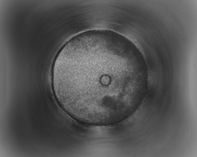 X0000089440950200706291423