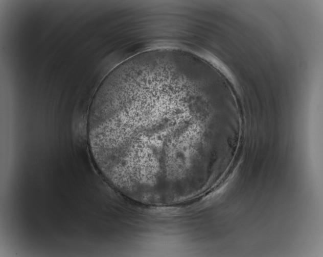 X0000089440953200706291423