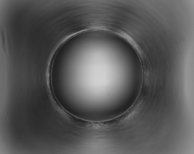 X0000089440955200706291423