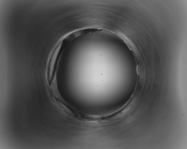 X0000089440956200706291423