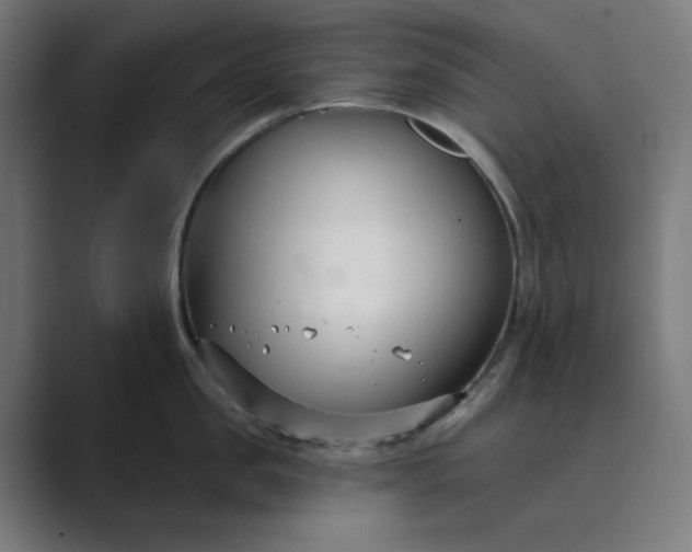 X0000089440957200706291423