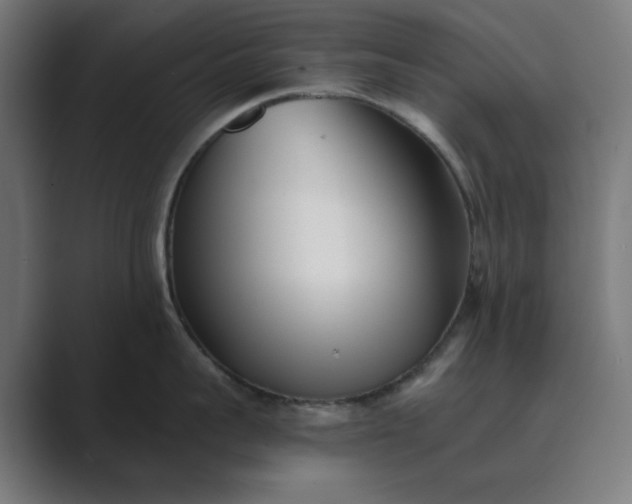 X0000089440959200706291423