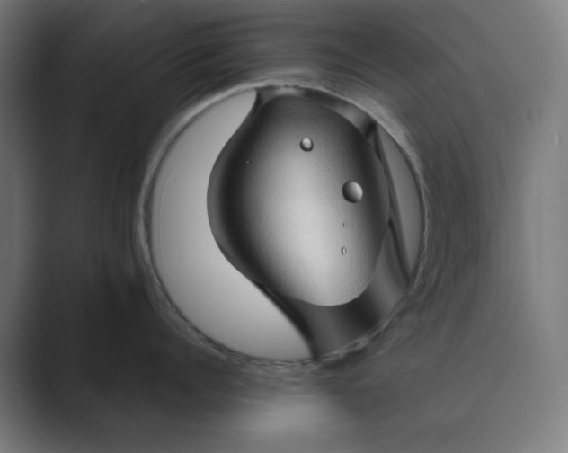 X0000089440960200706291423