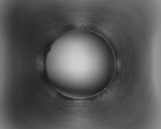 X0000089440963200706291422