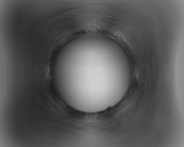 X0000089440964200706291422