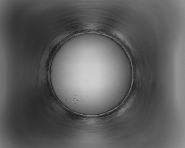 X0000089440970200706291422