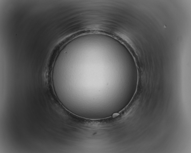 X0000089440971200706291422