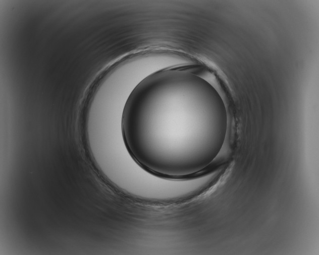 X0000089440973200706291422