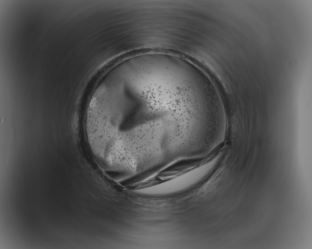 X0000089440975200706291422