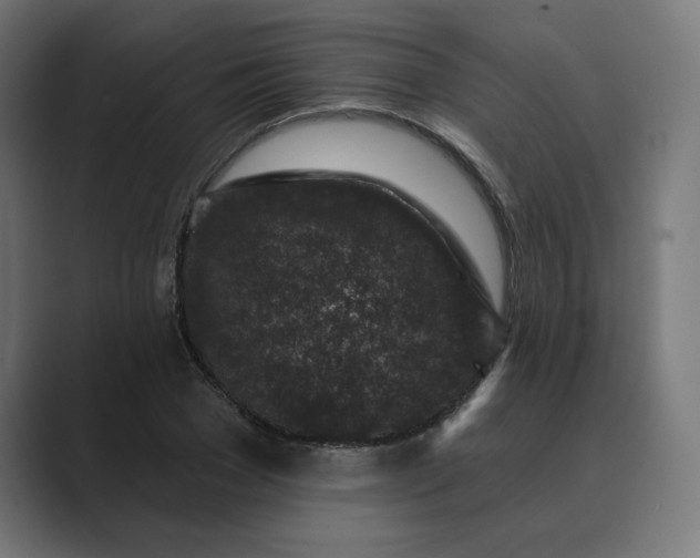 X0000089440977200706291422