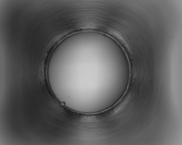 X0000089440978200706291422