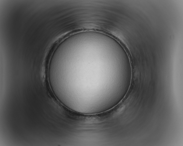 X0000089440979200706291422