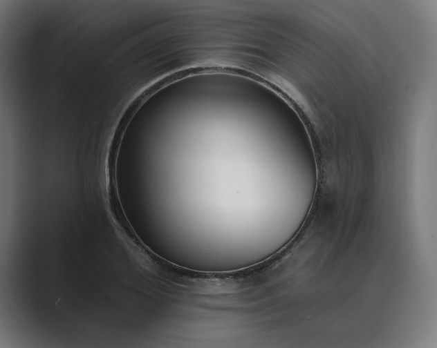 X0000089440980200706291422