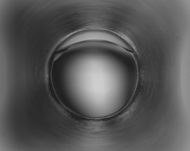 X0000089440981200706291422