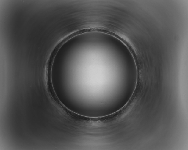 X0000089440983200706291422