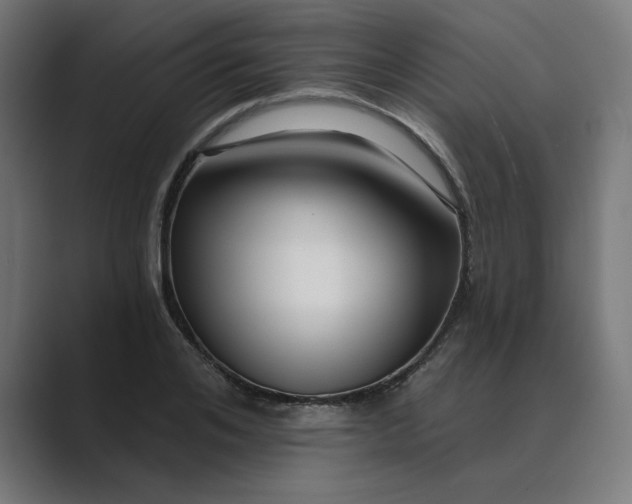 X0000089440984200706291422