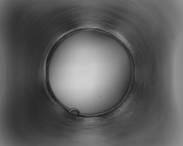 X0000089440988200706291422