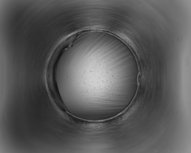 X0000089440989200706291422