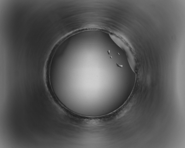 X0000089440991200706291422