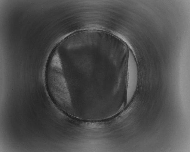 X0000089440995200706291422